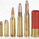 Статья 8. Государственный кадастр гражданского и служебного оружия и патронов к нему