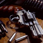 Статья 31. Обеспечение исполнения настоящего Федерального закона