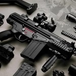 Статья 14. Приобретение на территории Российской Федерации, ввоз в Российскую Федерацию и вывоз из Российской Федерации гражданского оружия иностранными гражданами